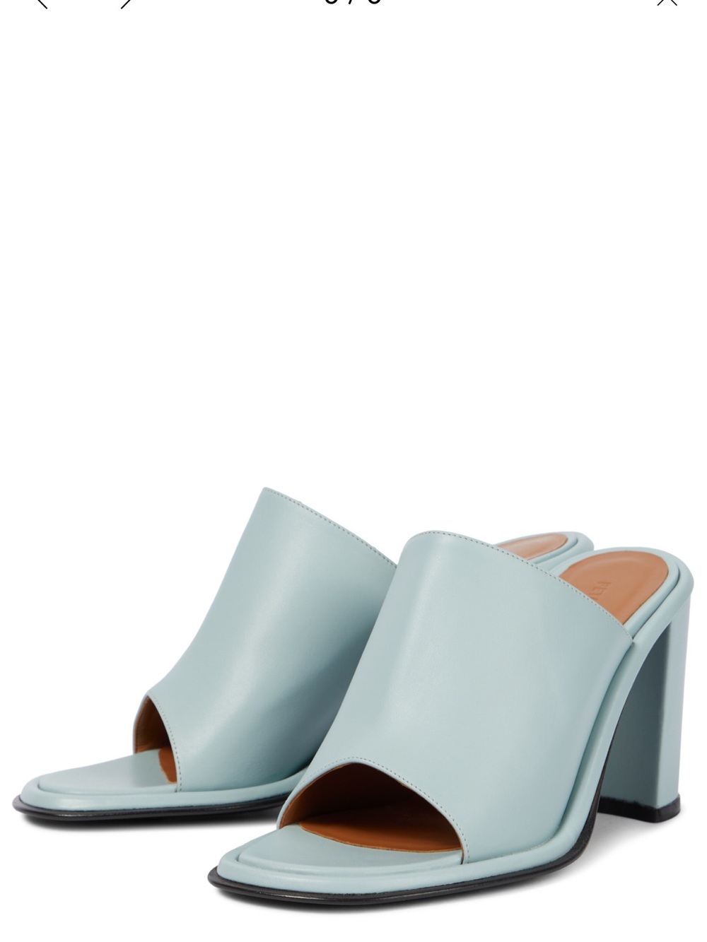 Petar Petrov Pale Blue Open-Toe Block Heel Mules